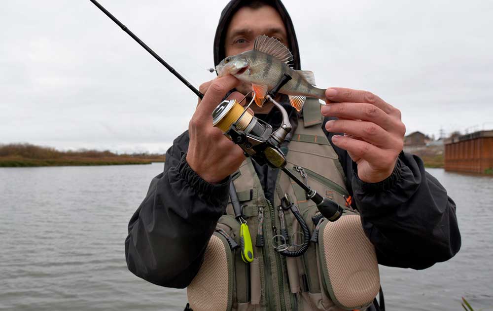 Рыболовная страна