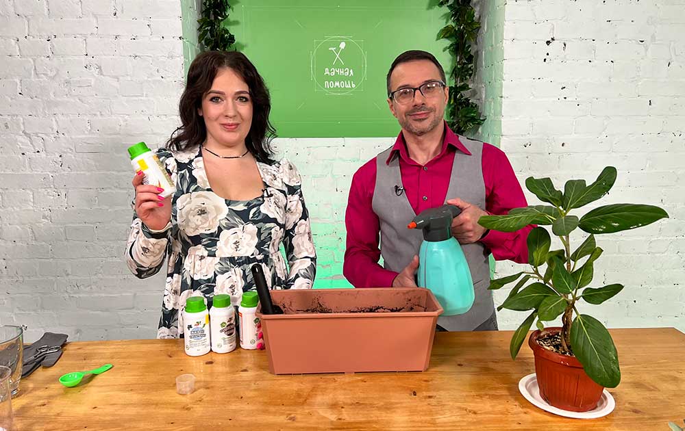 Дачная помощь. Сезон 2