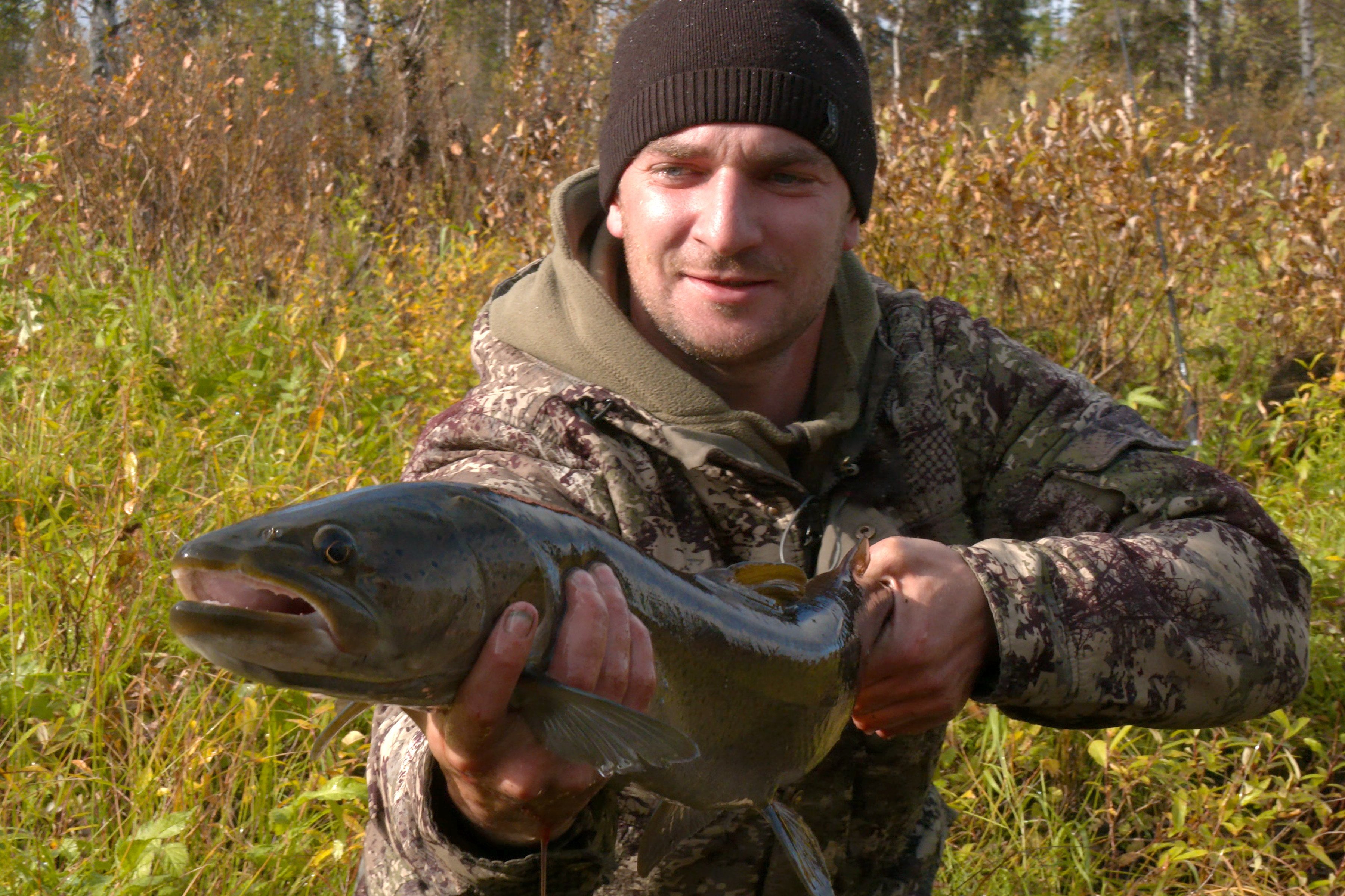 Таежная история