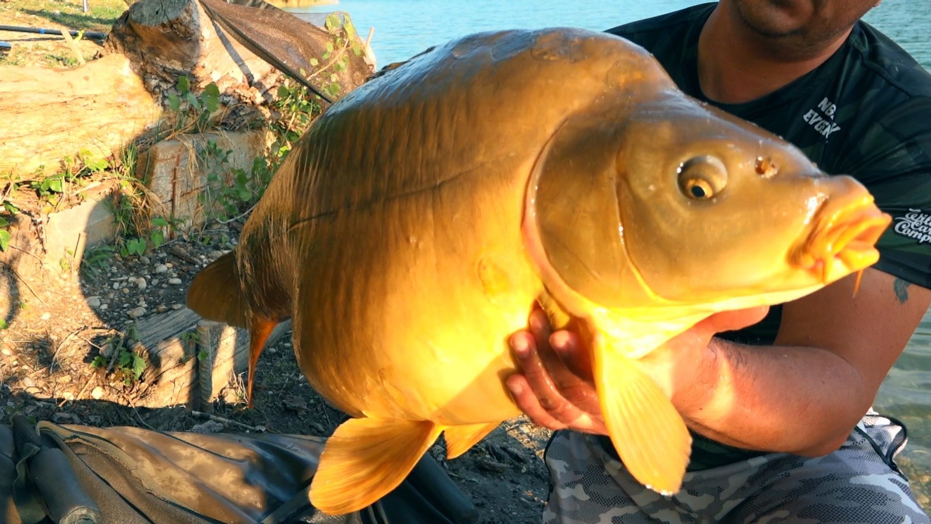 Хорватский трофей