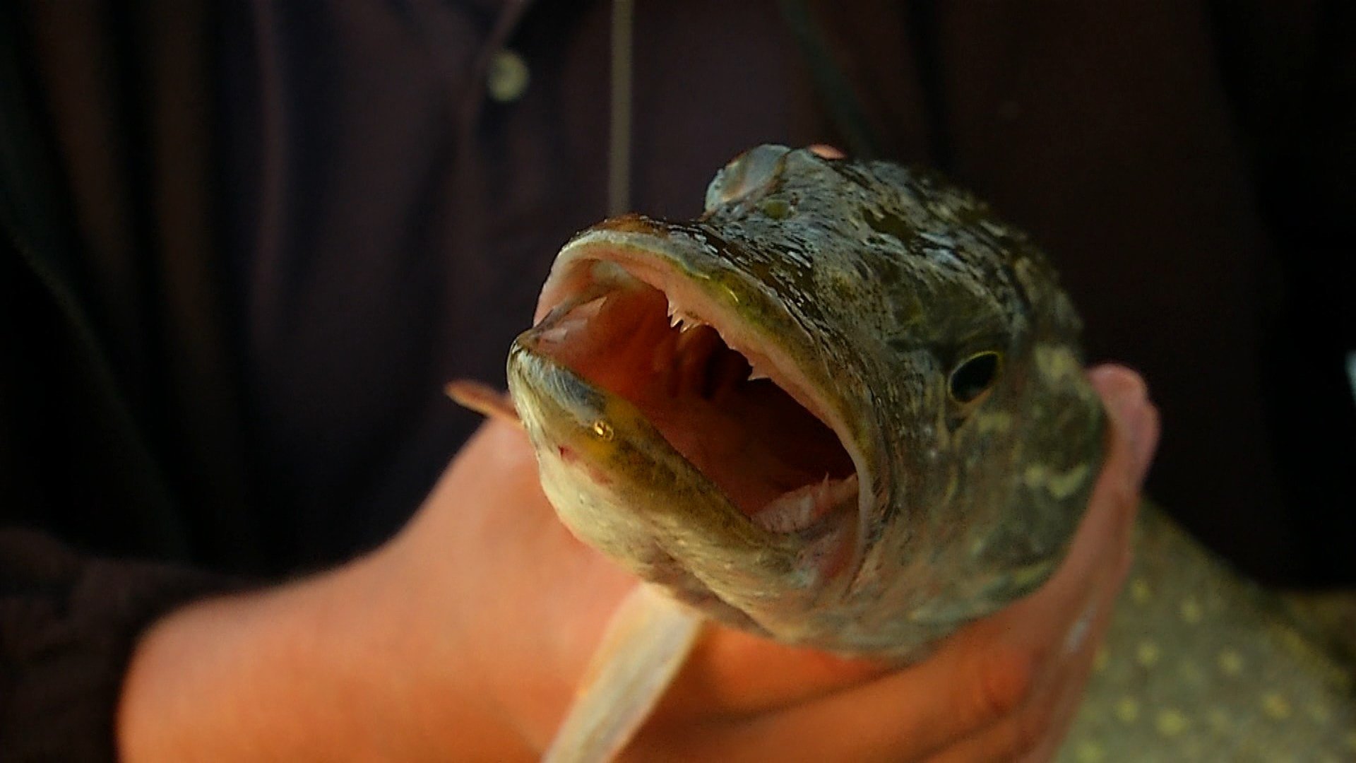 Мировая рыбалка. Сезон 3