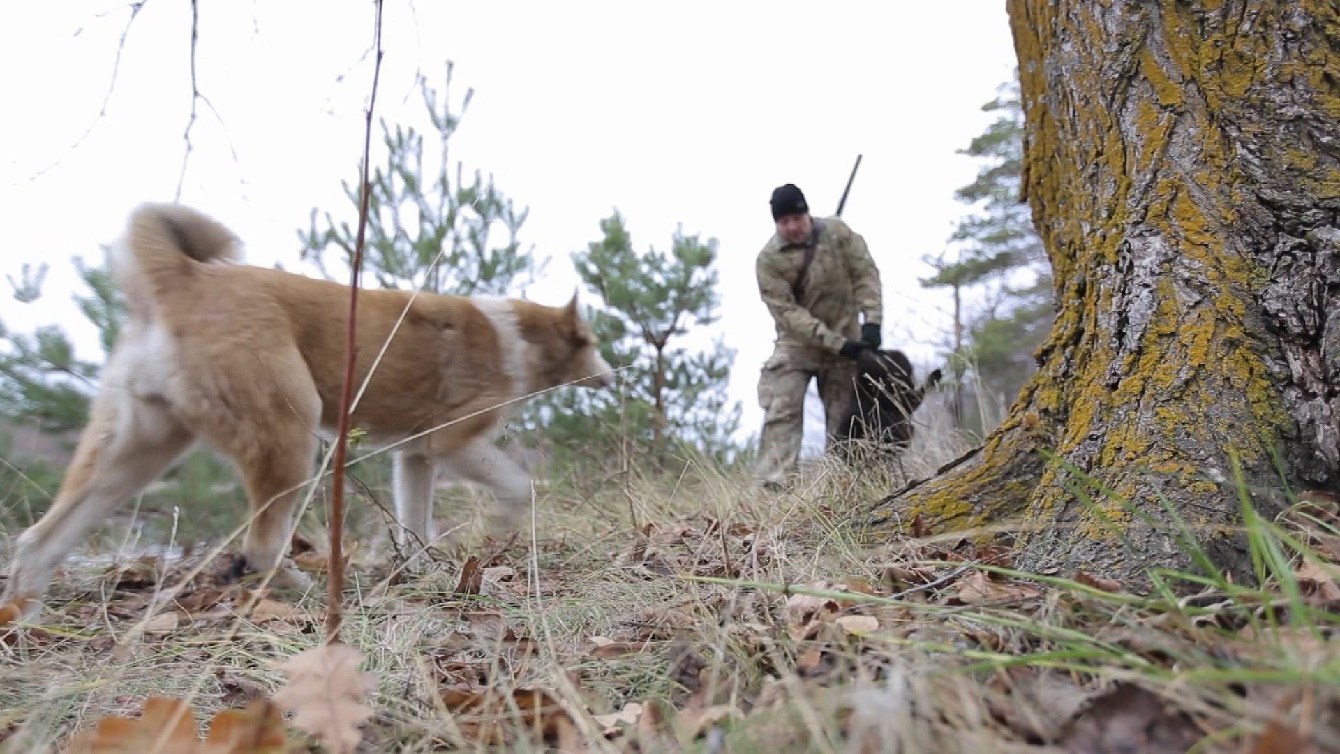 Охота на маршруте