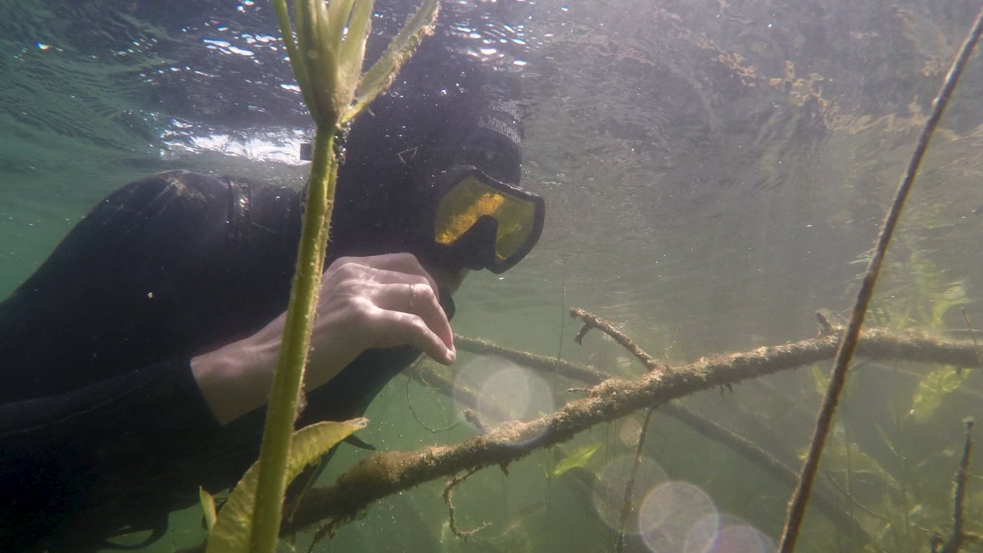 Подводный мир