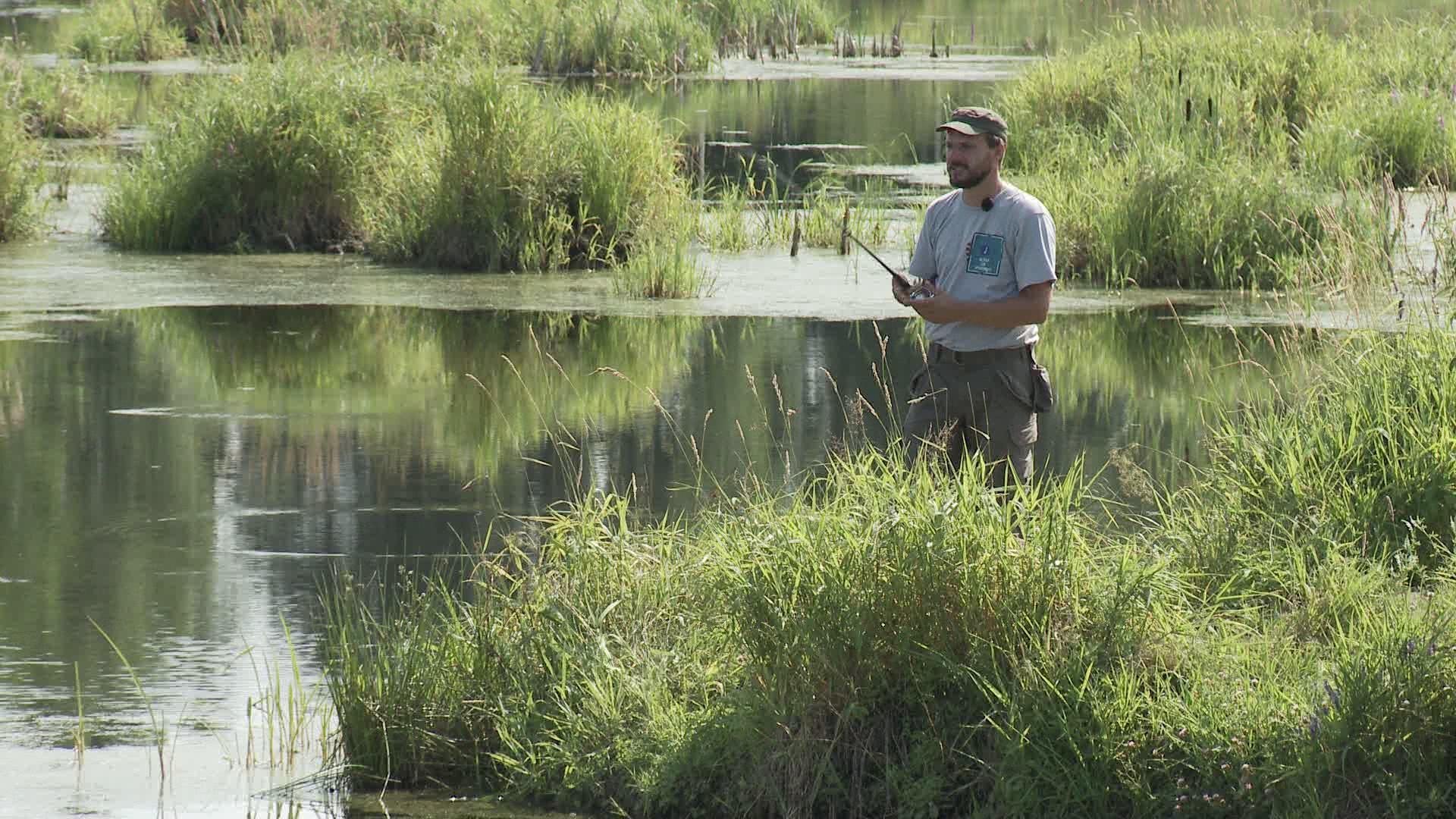 Рыбалка для начинающих