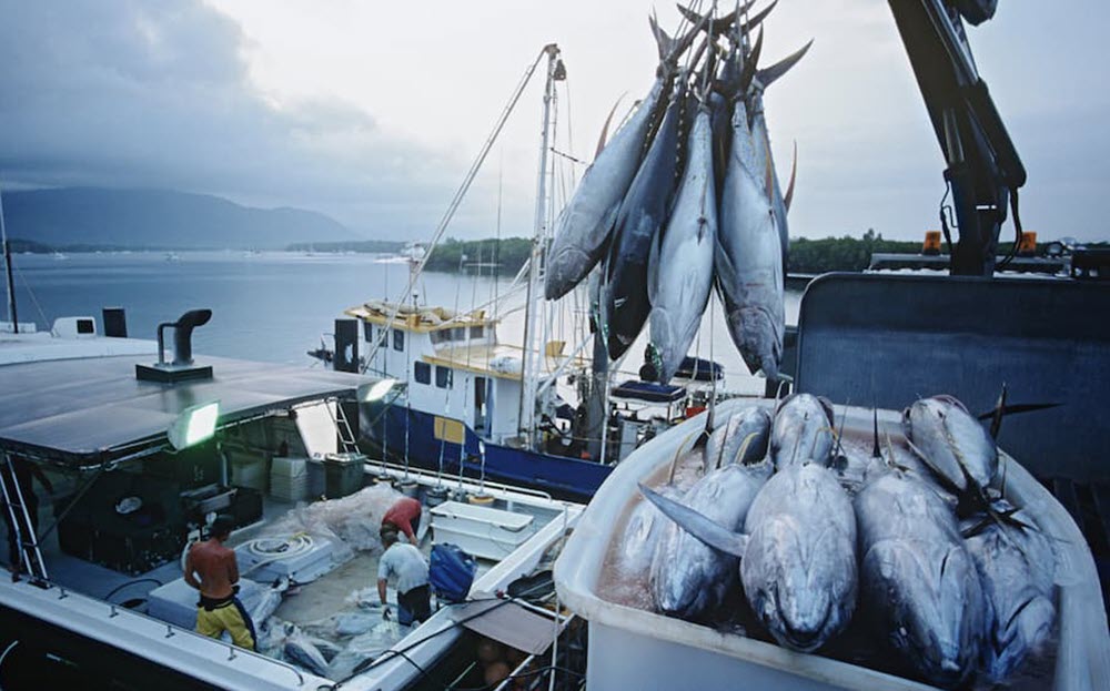 Рыбалка на экваторе. Мальдивы