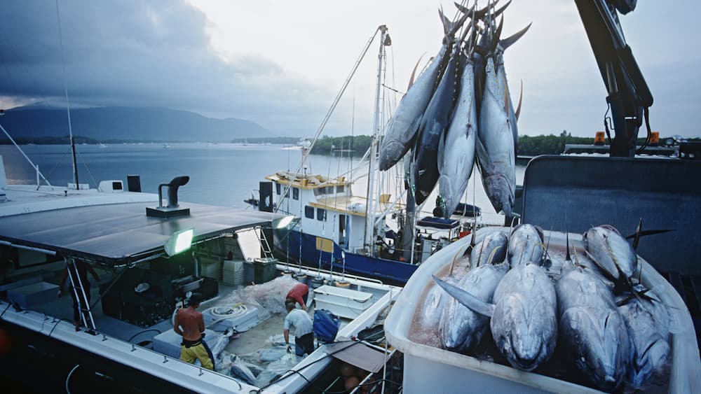 Рыбалка на экваторе