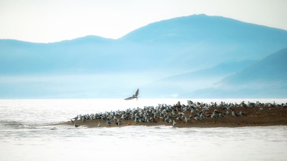 С удочкой по Сахалину