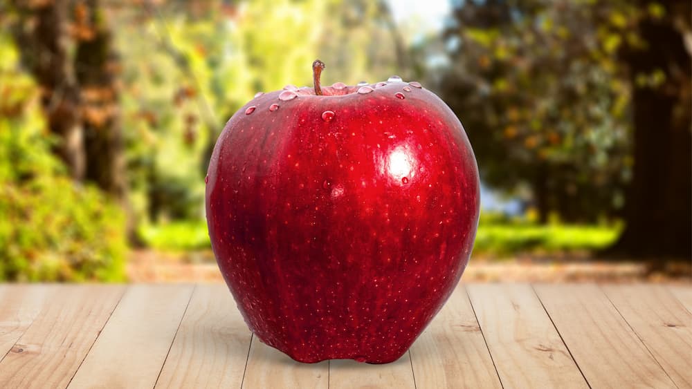 Советы Александра Ганичкина