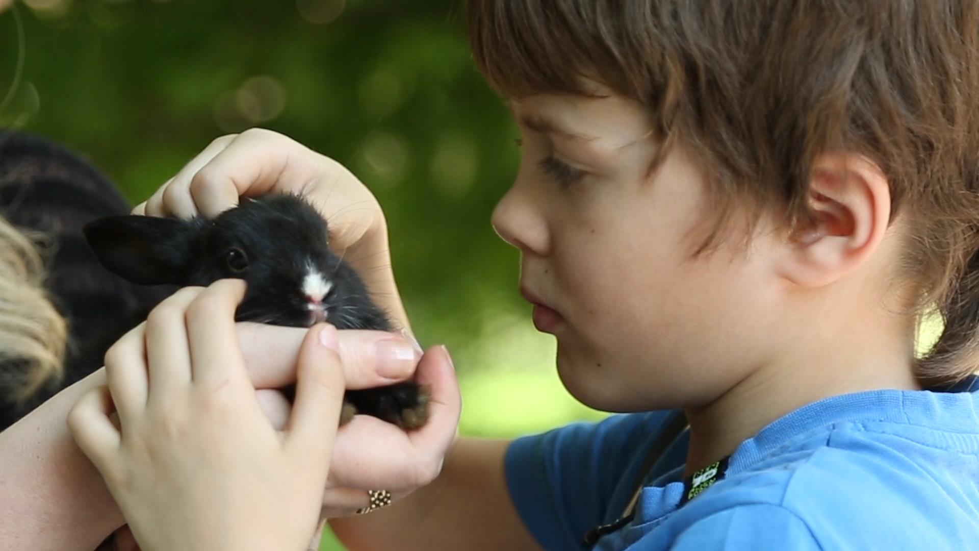 Такие разные питомцы