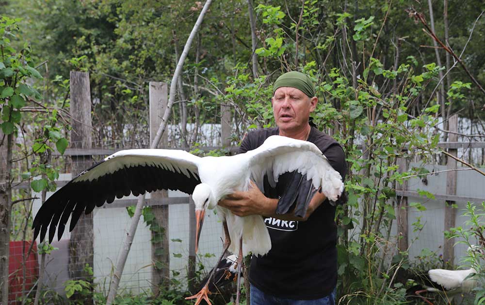 Дикие. Сезон 2