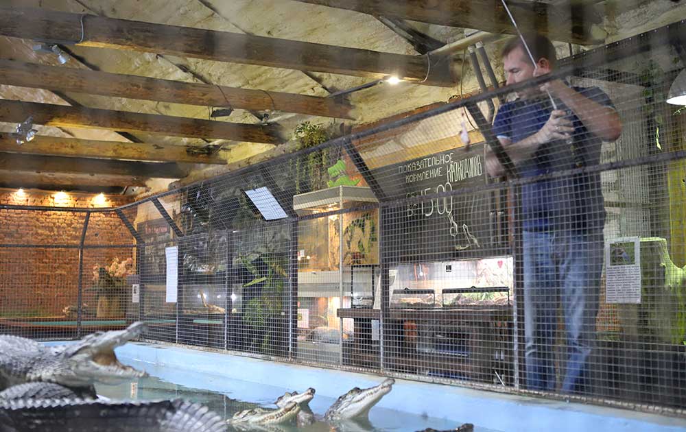 Дикие. Сезон 3