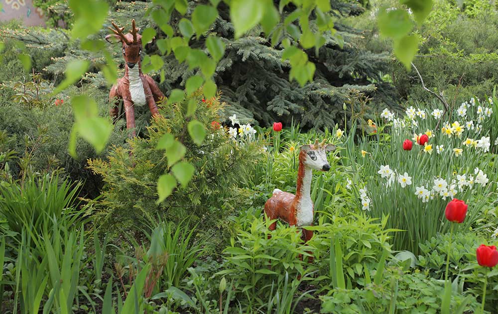 Городские садоводы. Липецк