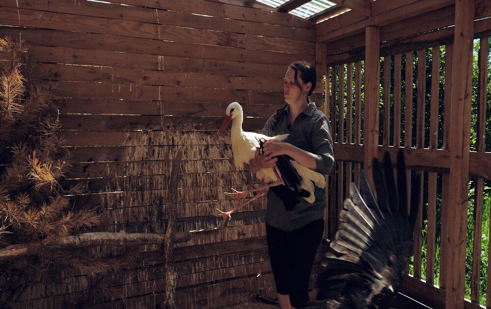 Быть человеком