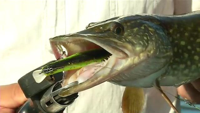 Рыболовные секреты. Сезон 3