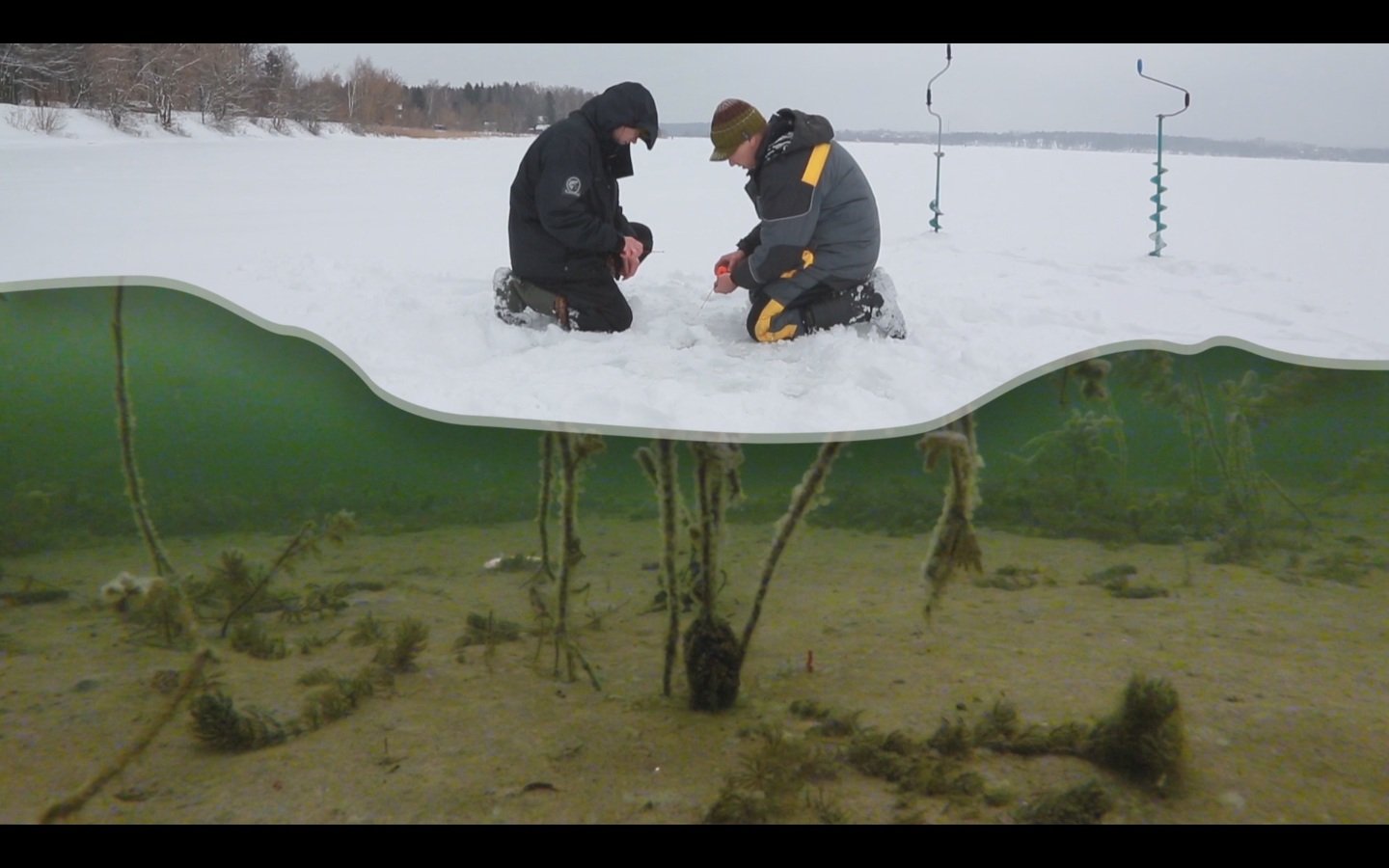 Подлёдный мир