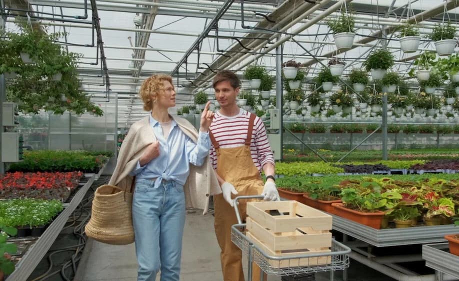 Дачная помощь