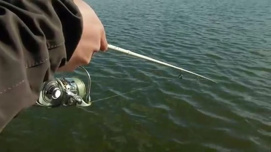 Азбука спиннинговой ловли. Сезон 2