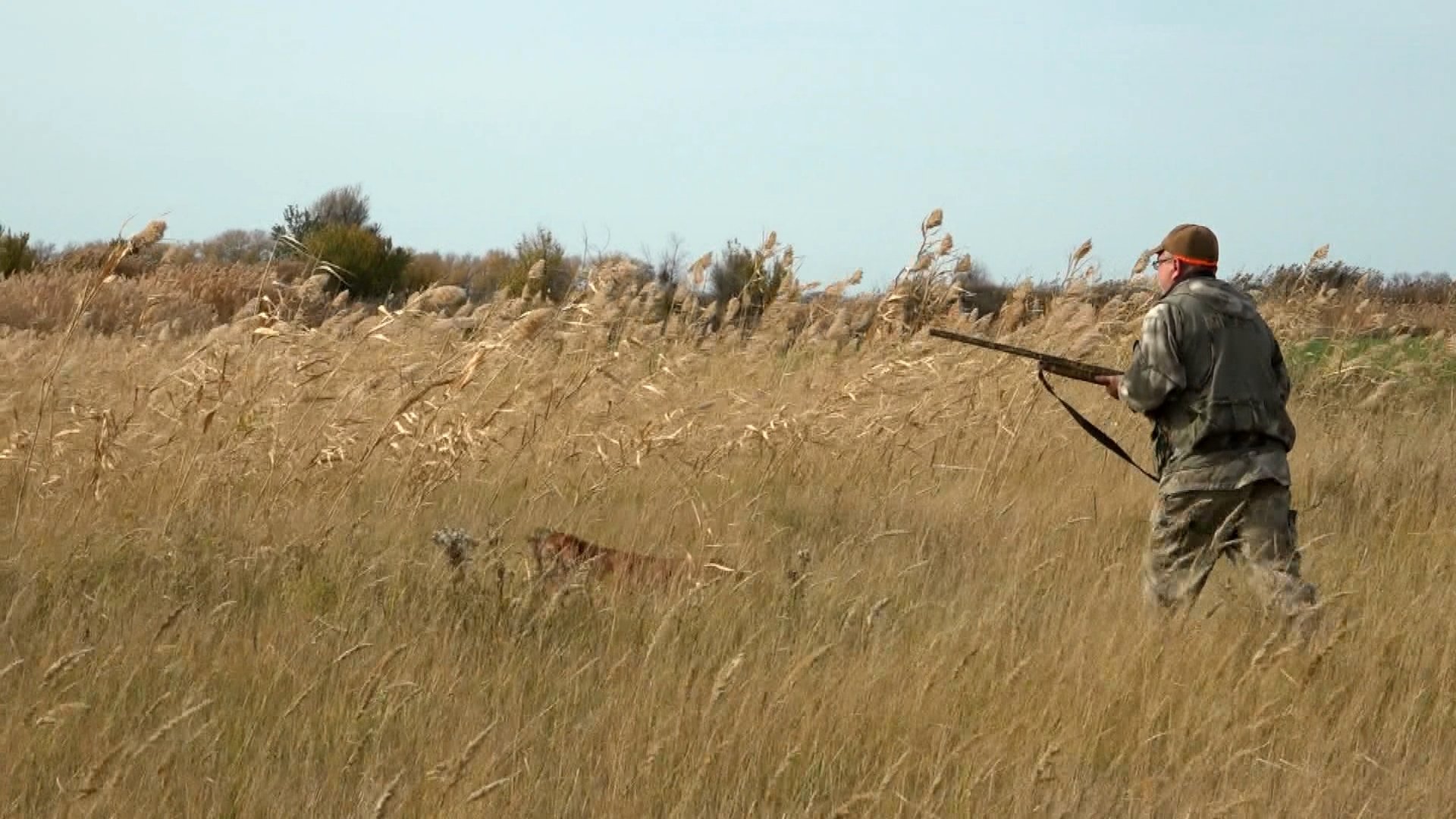 Дневники охотника. Сезон 2