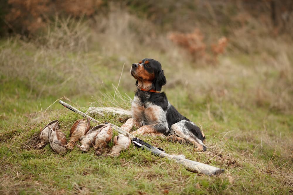 Дневники охотника. Сезон 3