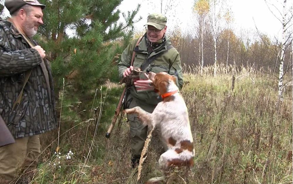 Друзья охотника