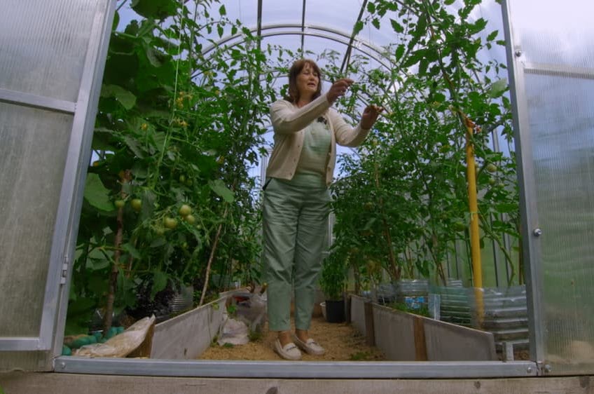 Это вырастил я!