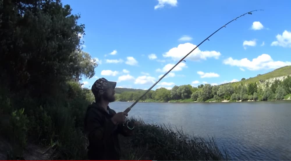 Фидер и ничего лишнего