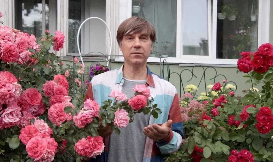 Городские садоводы. Санкт-Петербург