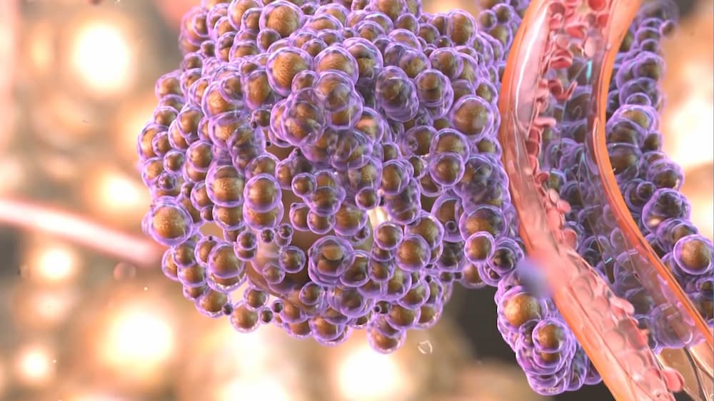 Мир нанотехнологий