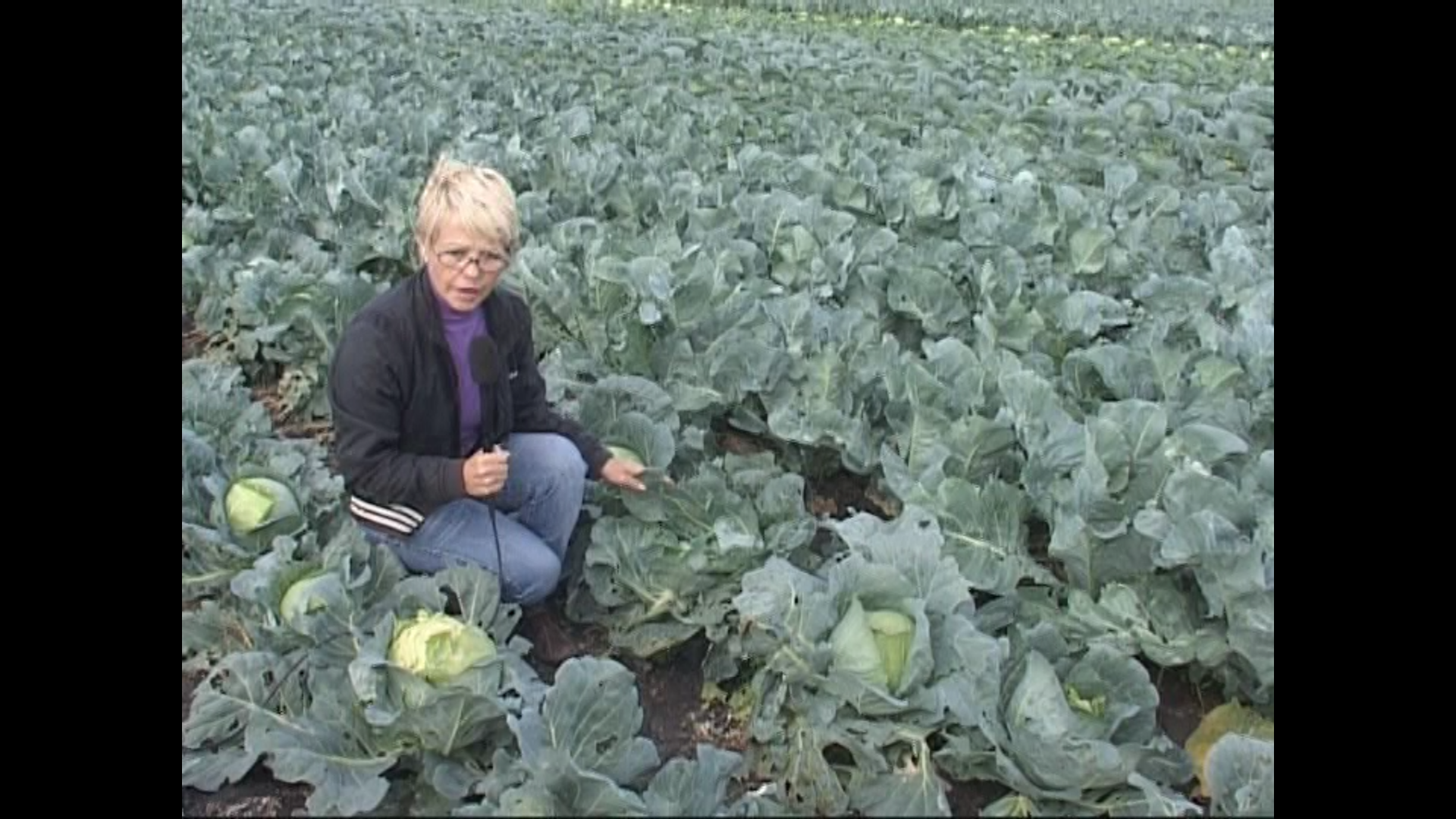 Мой любимый сад