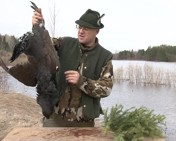 Наши путешествия