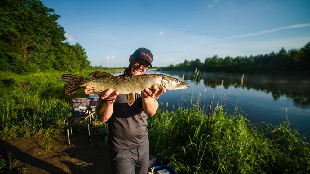 Патерностер Эволюция
