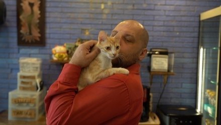 Профессия - любить животных