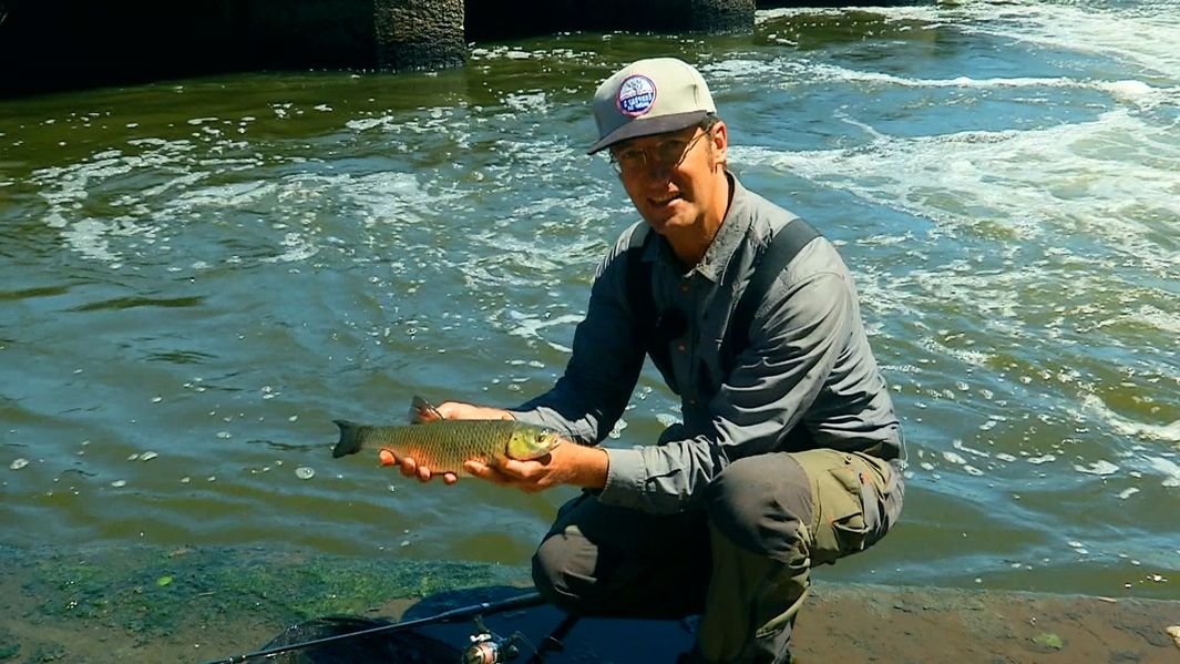 С удочкой по Чехии