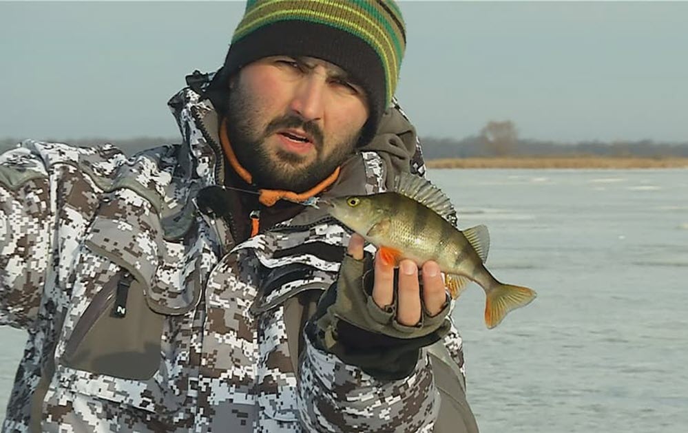 Видеокарта уловистых мест. Сезон 9