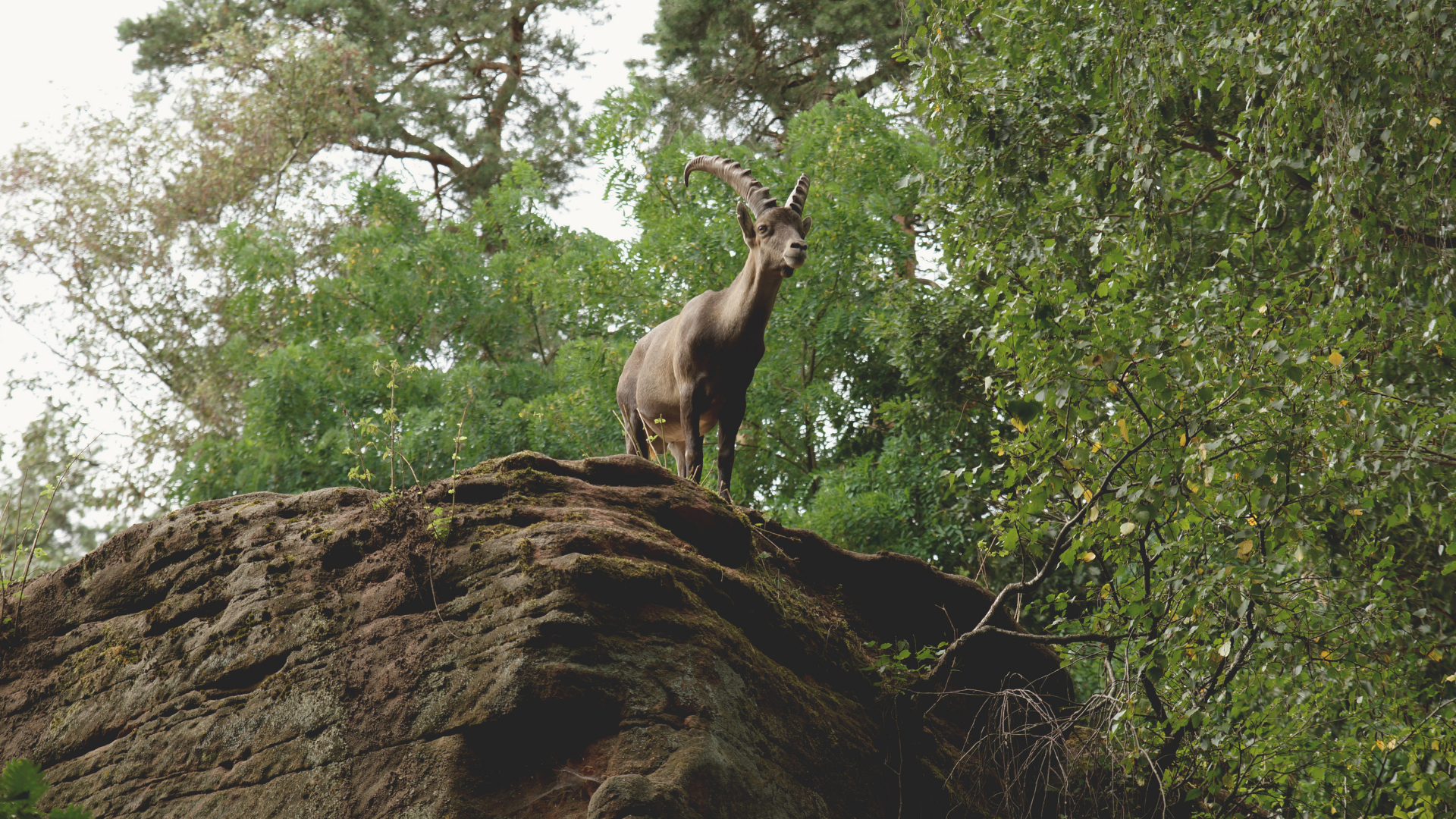 Заповедники. Сезон 2