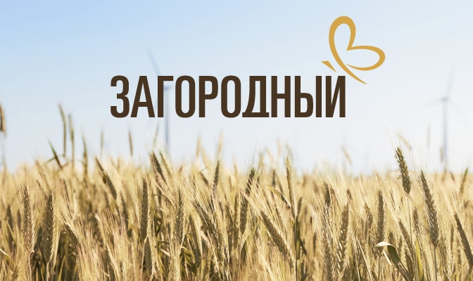 Загородный